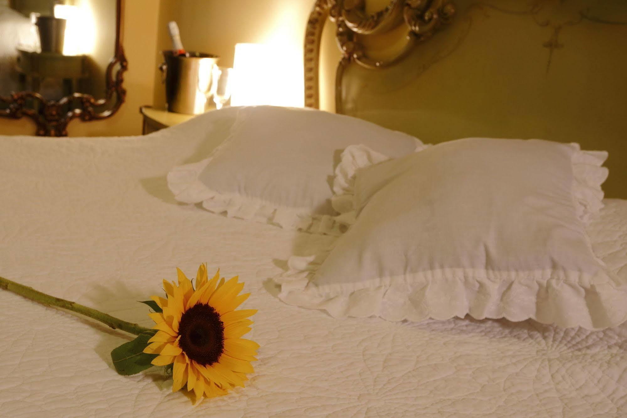 Bed & Breakfast - La Casa De Ceci Λίμα Εξωτερικό φωτογραφία